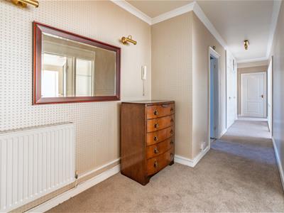 Picture 14